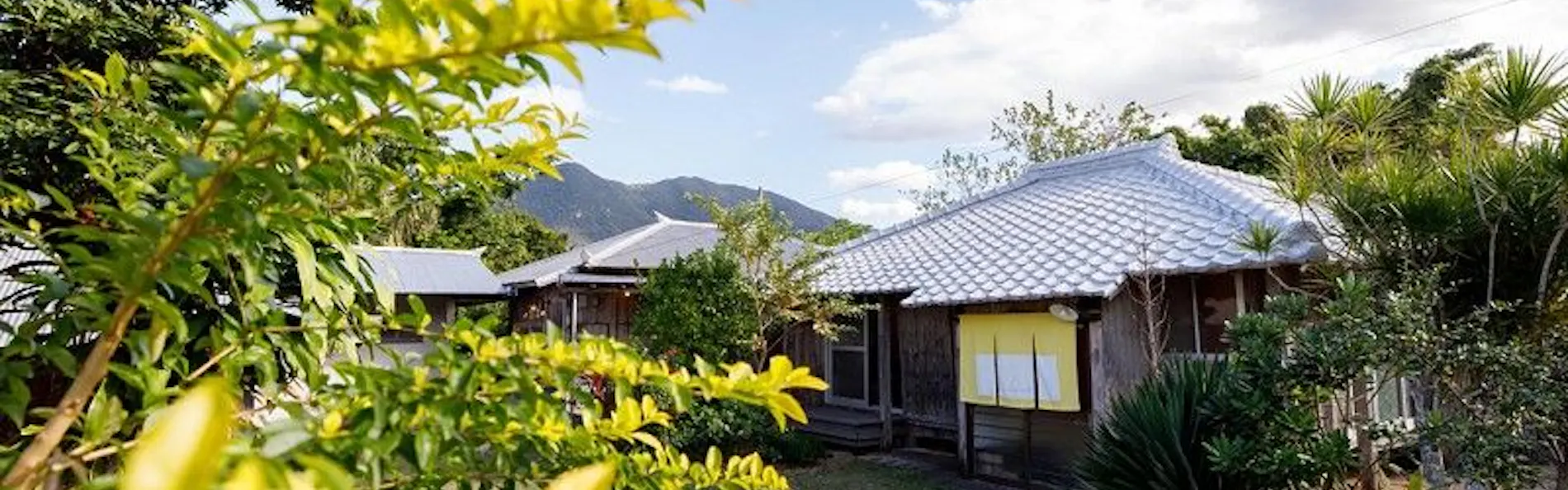 伝泊 徳之島(天城町)