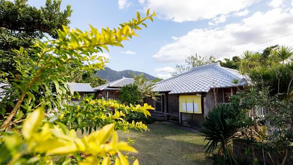 Denpaku Tokunoshima (Amagi Town)