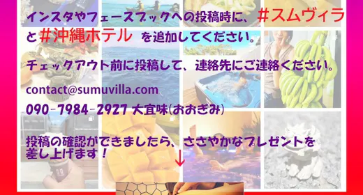 【トートバッグプレゼントキャンペーン】沖縄北部満喫 ジャグジー付優雅なヴィラステイ