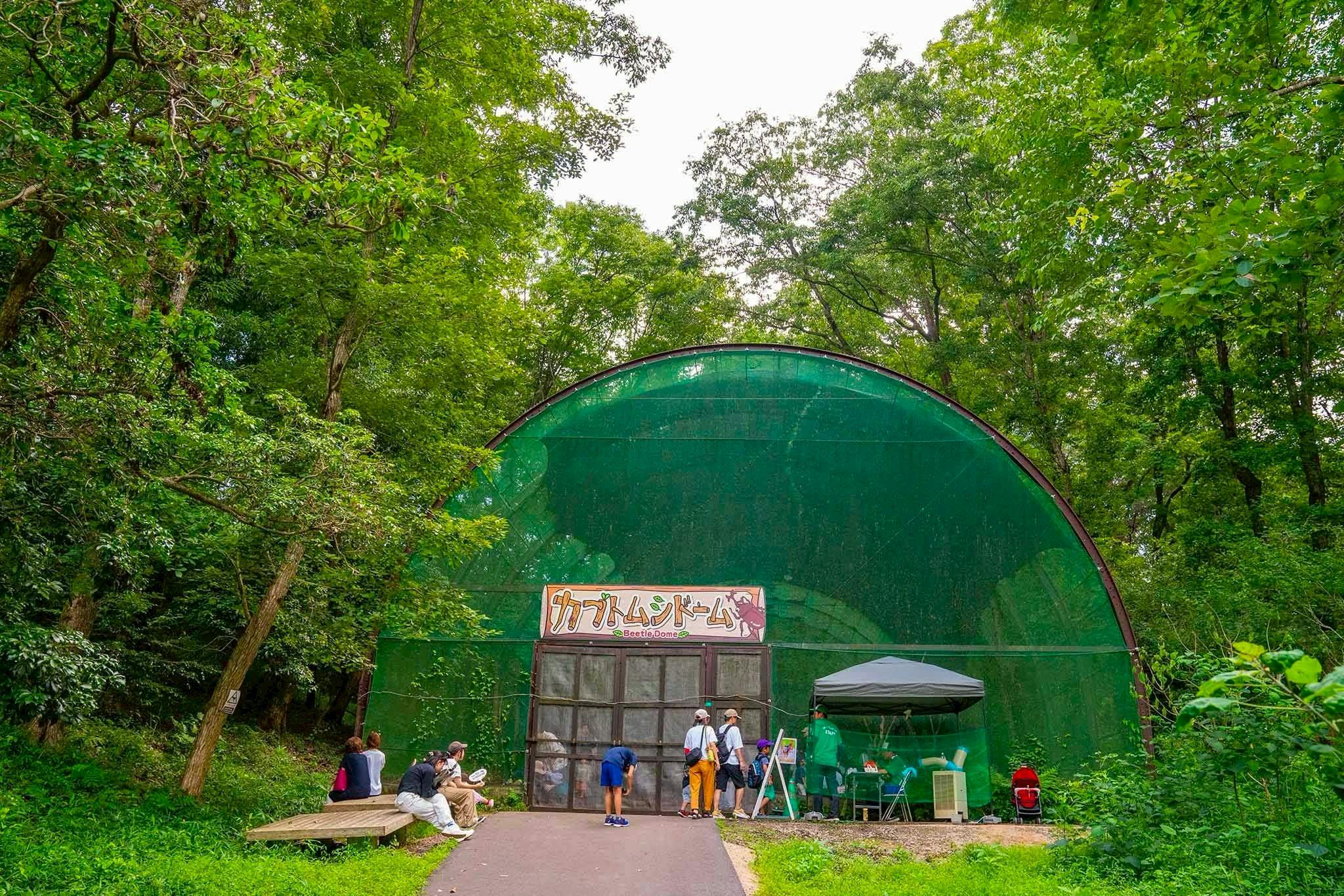 中国地方最大級のカブトムシドーム