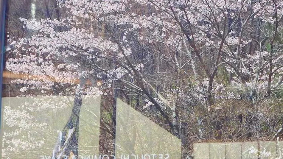 Setouchi Kominka Stays Hiroshima Kozako Mori