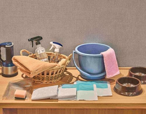 愛犬と一緒に過ごせるリビング（庭付客室）