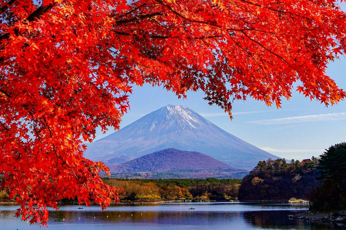 【紅葉旅】＜素泊まり＞富士五湖の秋を巡る｜一棟貸切ヴィラで過ごす富士山麓ステイ