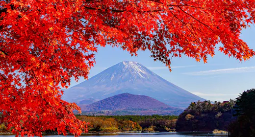 【紅葉旅】<素泊まり>富士五湖の秋を巡る|一棟貸切ヴィラで過ごす富士山麓ステイ
