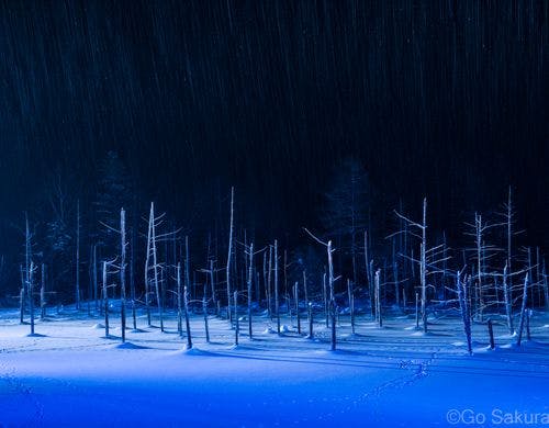 冬季限定、青い池のライトアップ