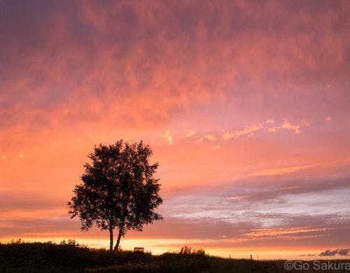 シュカブラのにはから望む夕焼け