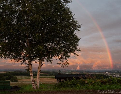 雨上がりの夕方