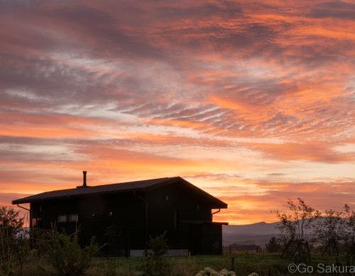 朝焼けとシュカブラ