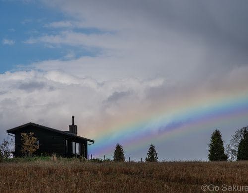 お昼過ぎの虹とシュカブラ