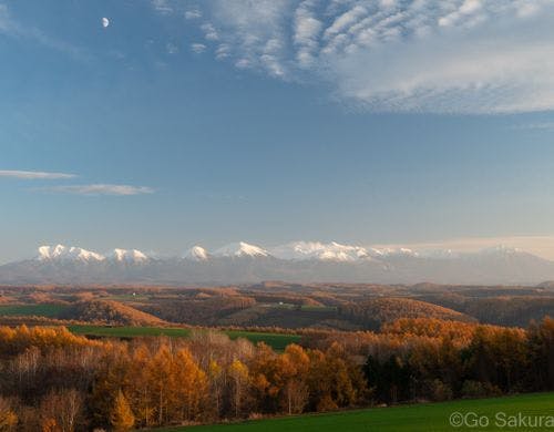 晩秋の就実の丘