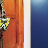 การออกแบบ 5