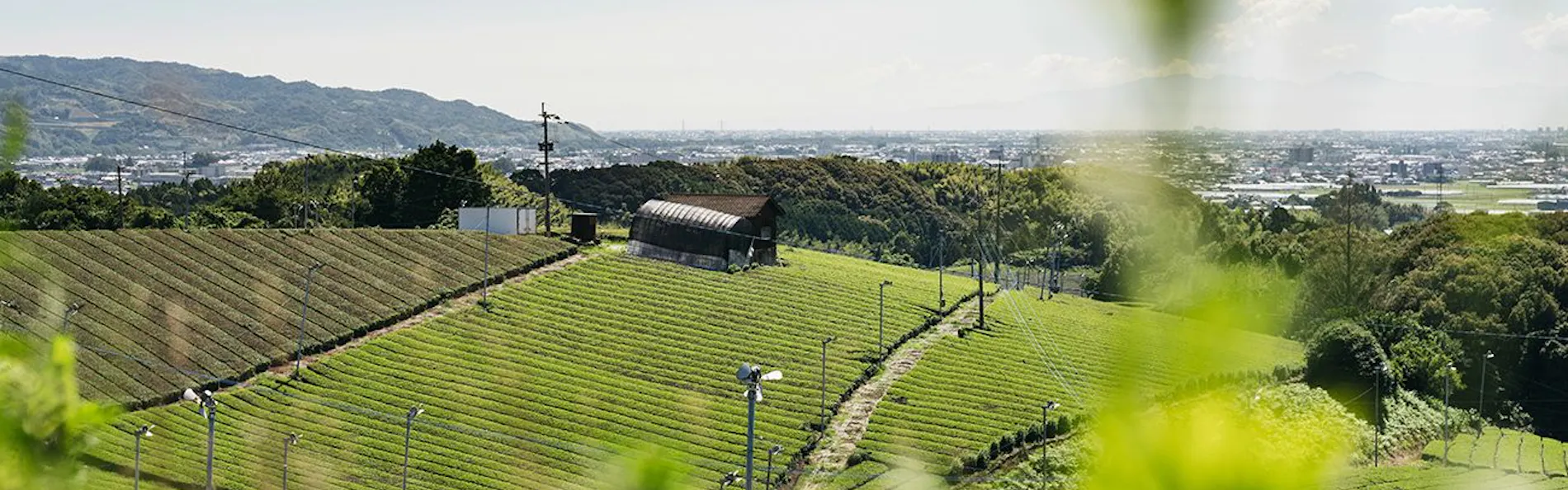 RITA八女福島