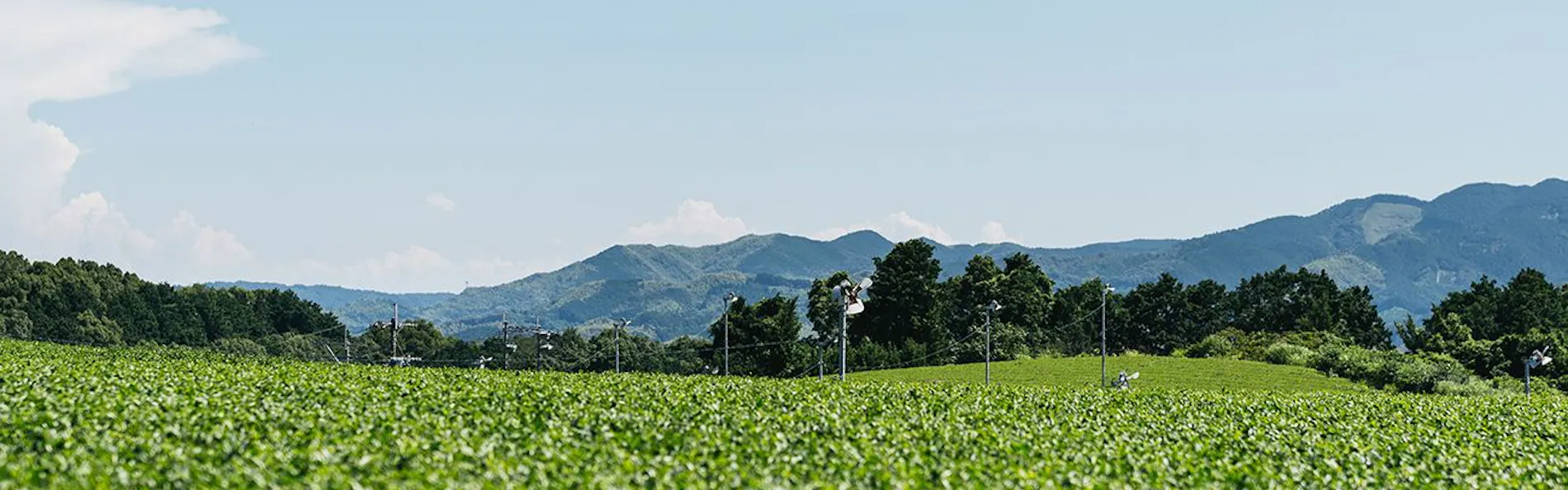 RITA八女福島