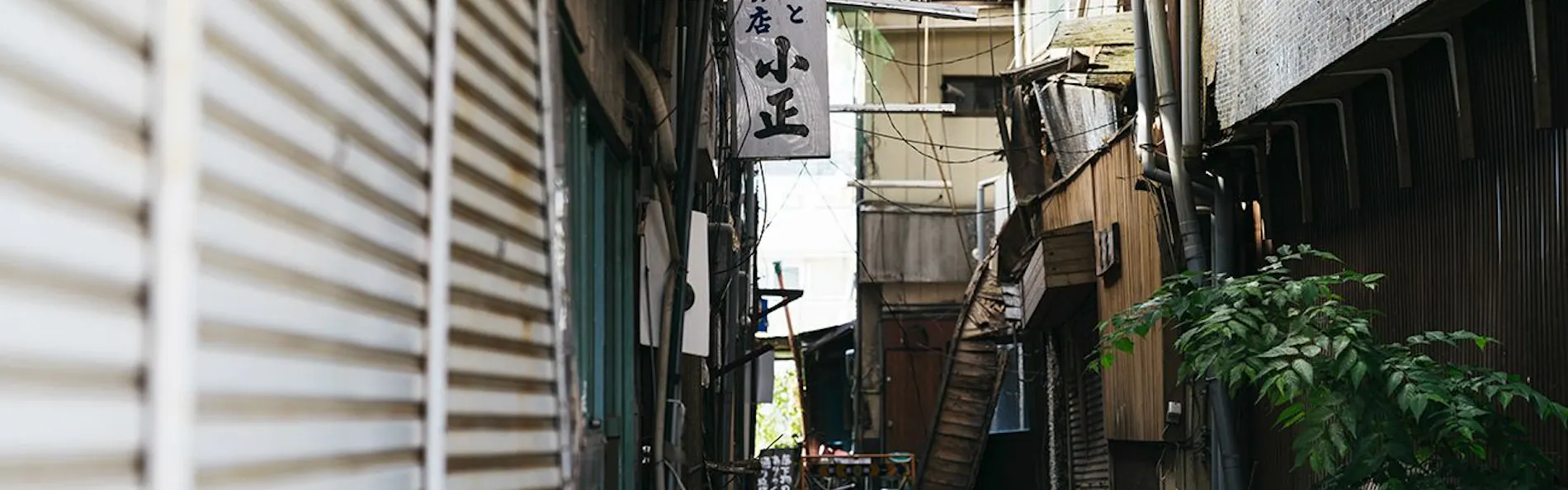 RITA八女福島