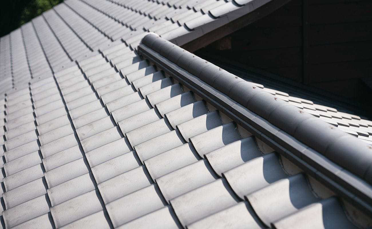 บริเวณโดยรอบ