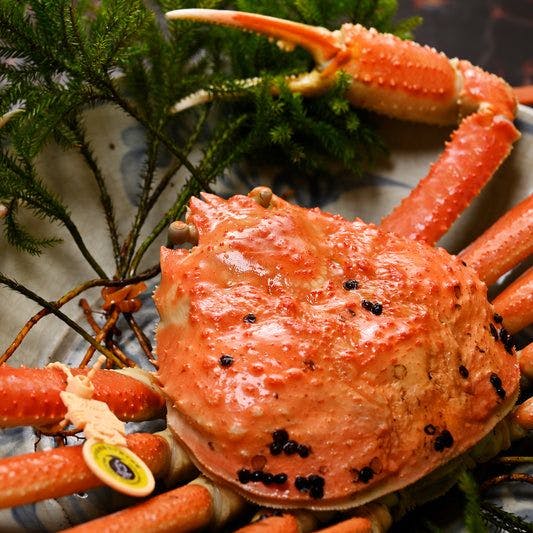 タグ付き越前がに