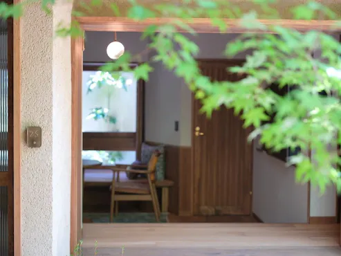 ทวินเมซองเน็ต