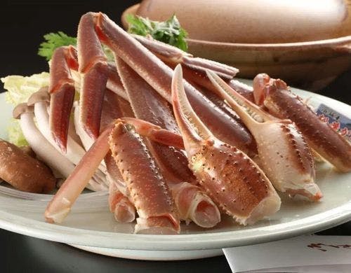 タグ付き活松葉ガニ