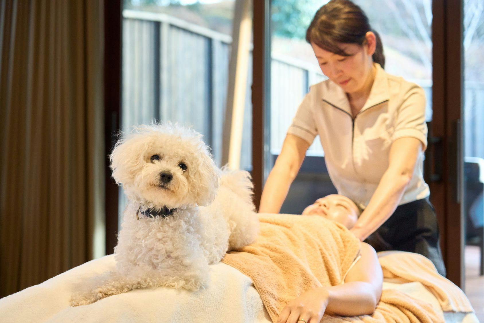 Dear Wan Spa Garden