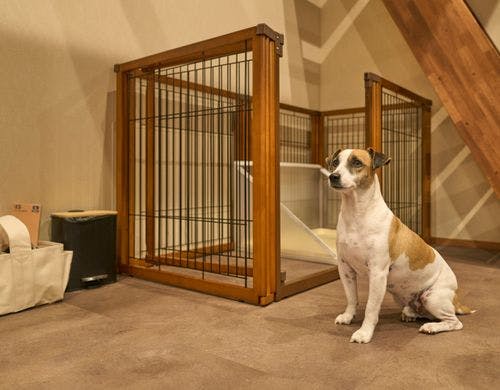 ペット同伴可！