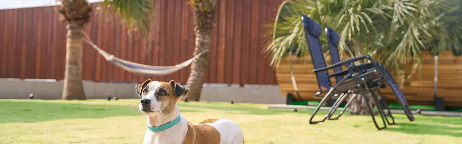 VILLA SENSE kujukuri