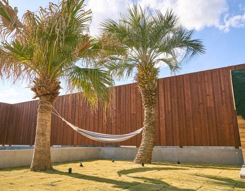 ハンモックもあります♪