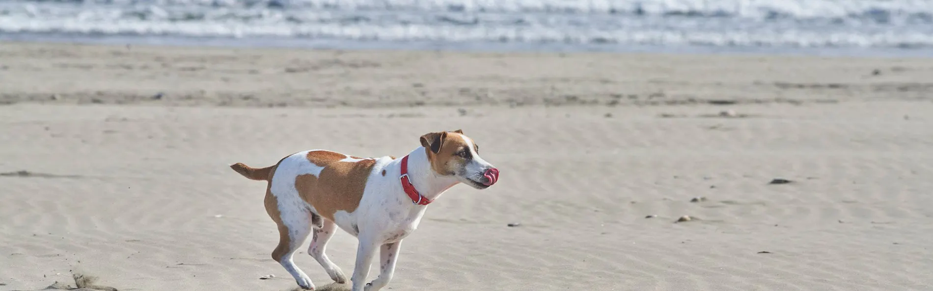 VILLA SENSE kujukuri