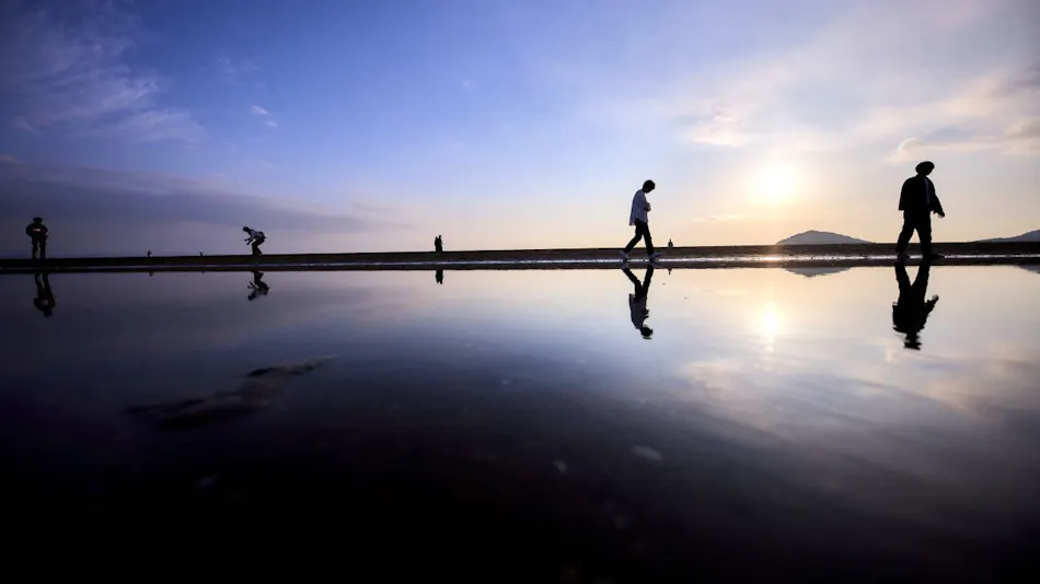 NIPPONIA NIO TRANQUIL BAY