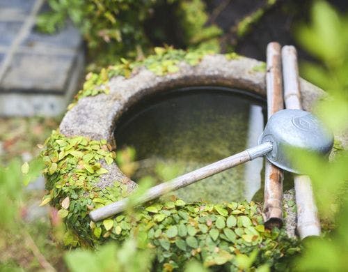 多喜屋 多喜屋の手水舎