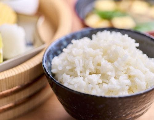 朝食御膳「白ご飯」