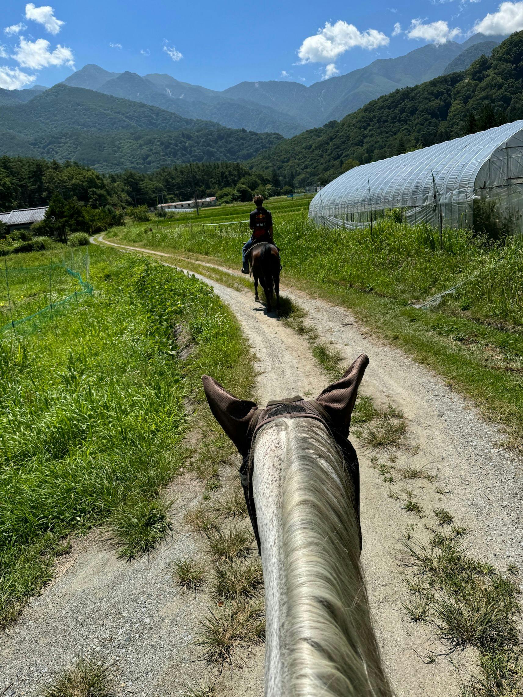 โคบุจิซาวะเป็นเมืองแห่งการขี่ม้า