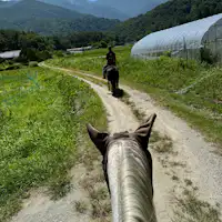 โคบุจิซาวะเป็นเมืองแห่งการขี่ม้า