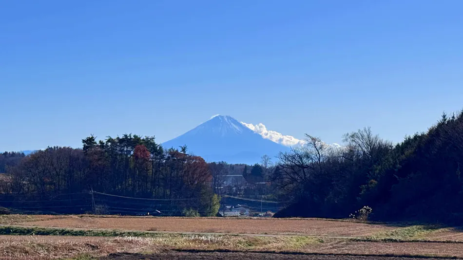 Nodokaan