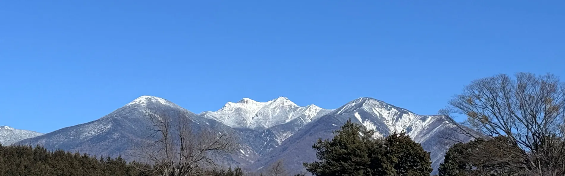 埜土香庵