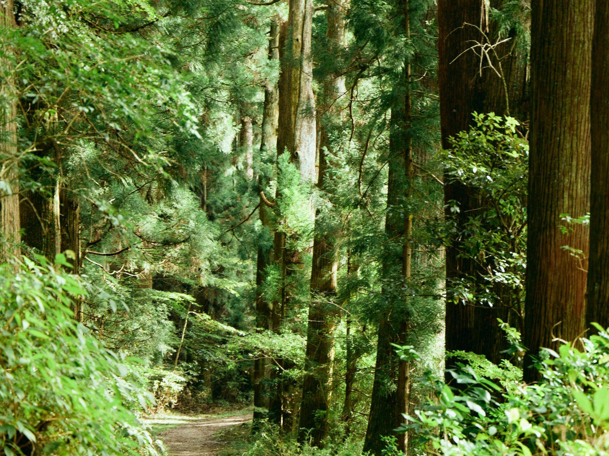 สถานที่ท่องเที่ยวใกล้เคียง