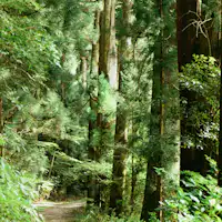 สถานที่ท่องเที่ยวใกล้เคียง