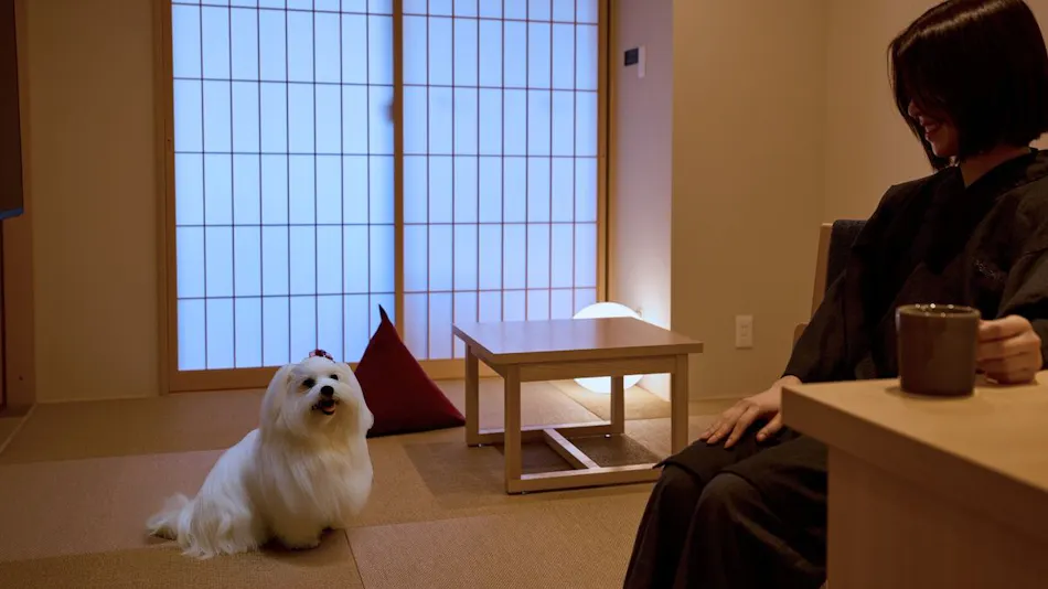 Rakuten STAY Awara Onsen