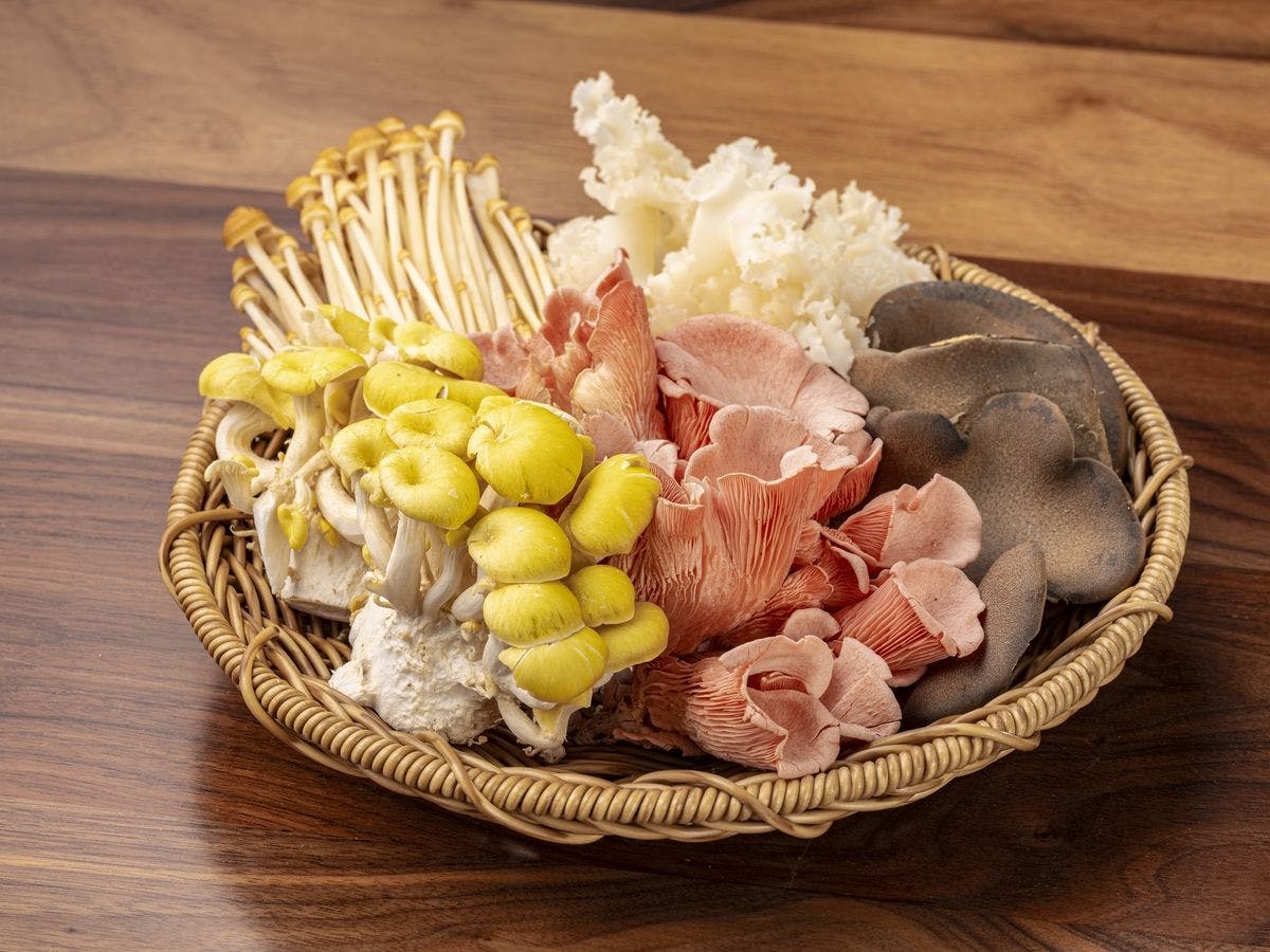 Rakuten STAY VILLA箱根強羅