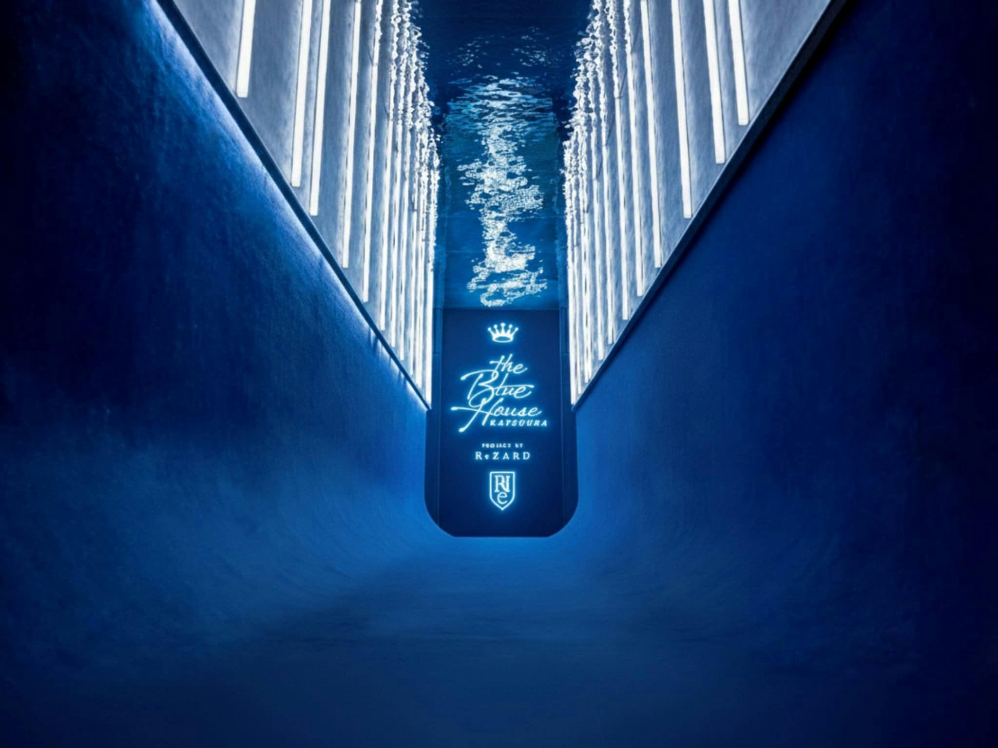 THE BLUE HOUSE
