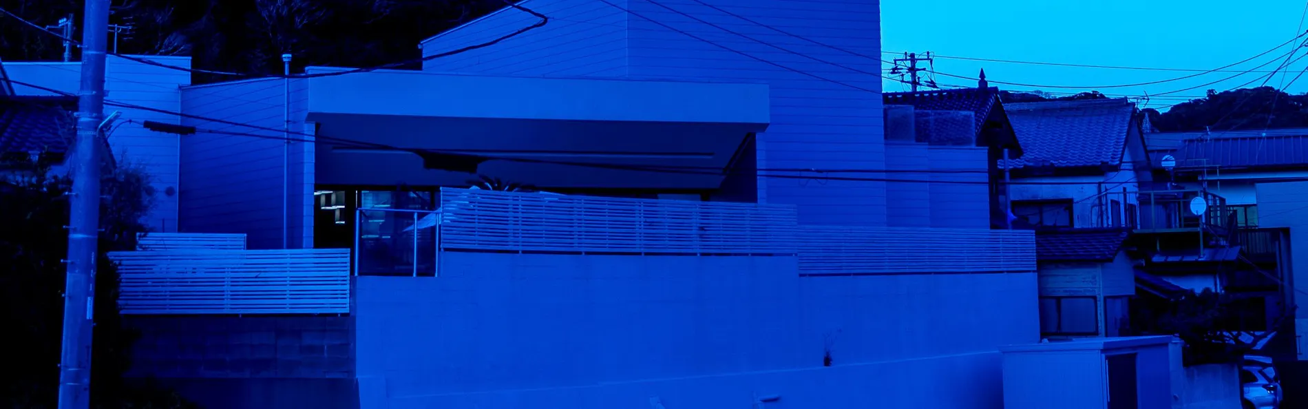 THE BLUE HOUSE