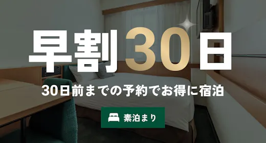 【早割30】お得な素泊まりプラン/アクセス抜群のホテルを早めにお部屋を押さえて、計画的なご旅行を!