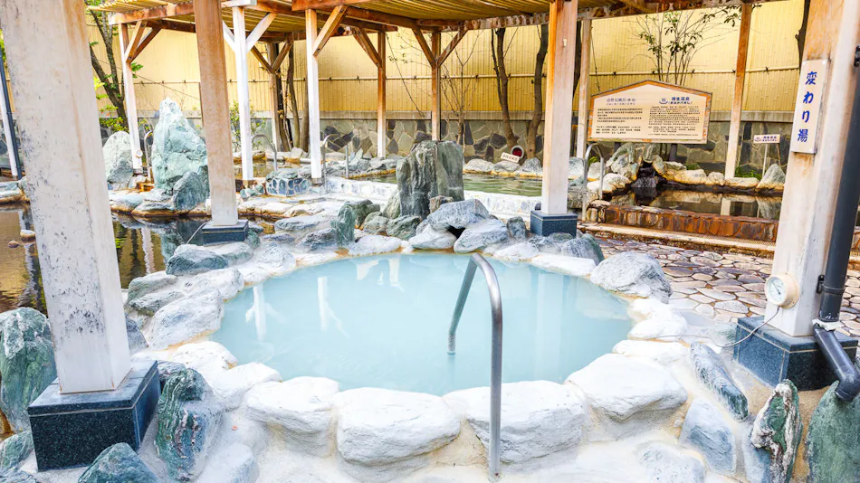 Hanyu Natural Hot Spring "Hana no Yu" Route Inn Grantia Hanyu SPA RESORT