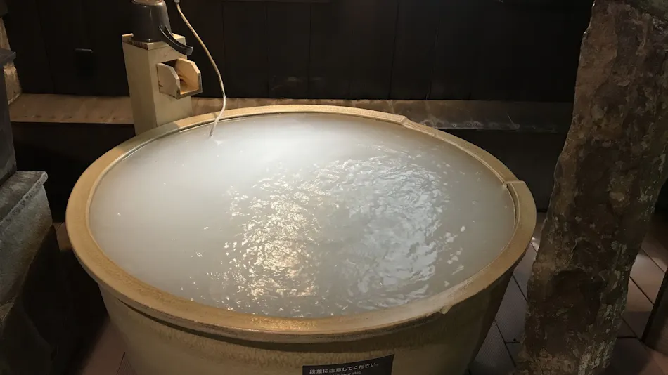 Kamejima River Onsen Shinkawa no Yu Dormy Inn Tokyo Hatchobori