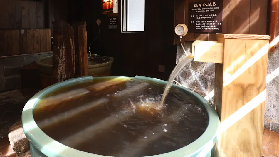 Kamejima River Onsen Shinkawa no Yu Dormy Inn Tokyo Hatchobori