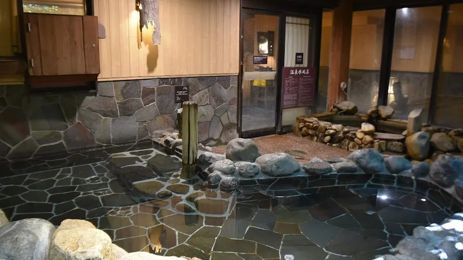 Kamejima River Onsen Shinkawa no Yu Dormy Inn Tokyo Hatchobori
