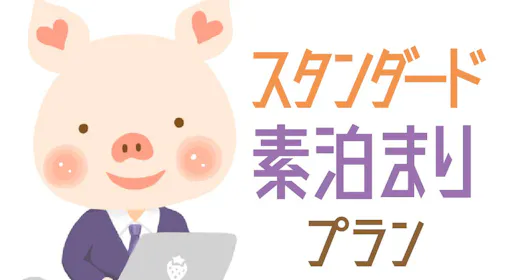 【シンプルステイ】出張/観光に便利!気軽に宿泊プラン 12時チェックアウト<素泊り>