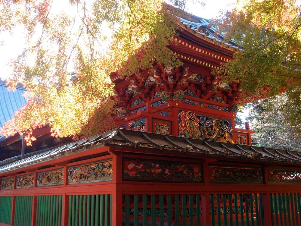 ภูเขาทาคาโอะ