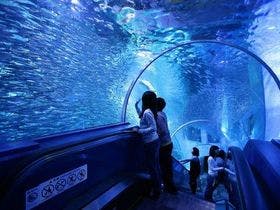 相鉄フレッサイン横浜戸塚