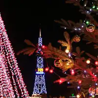 ซัปโปโร ไวท์ อิลลูมิเนชัน