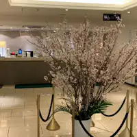 ดอกไม้ตกแต่งครบรอบ 8 ปี "ซากุระบานสะพรั่ง"